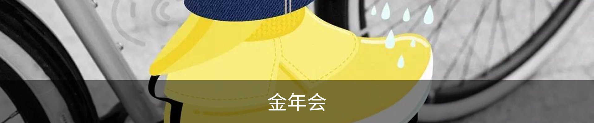 金年会